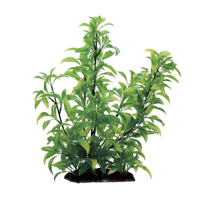 Искусственное растение ArtUniq Staurogyne 35 - Стаурогин, 35 см