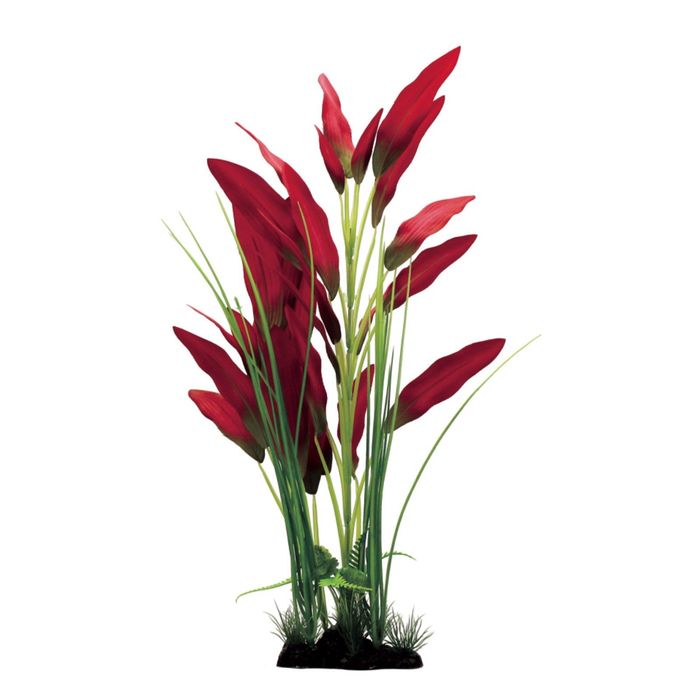 Искусственное растение из  шелка ArtUniq Echinodorus red v2 40 - Эхинодорус красный, 40 см