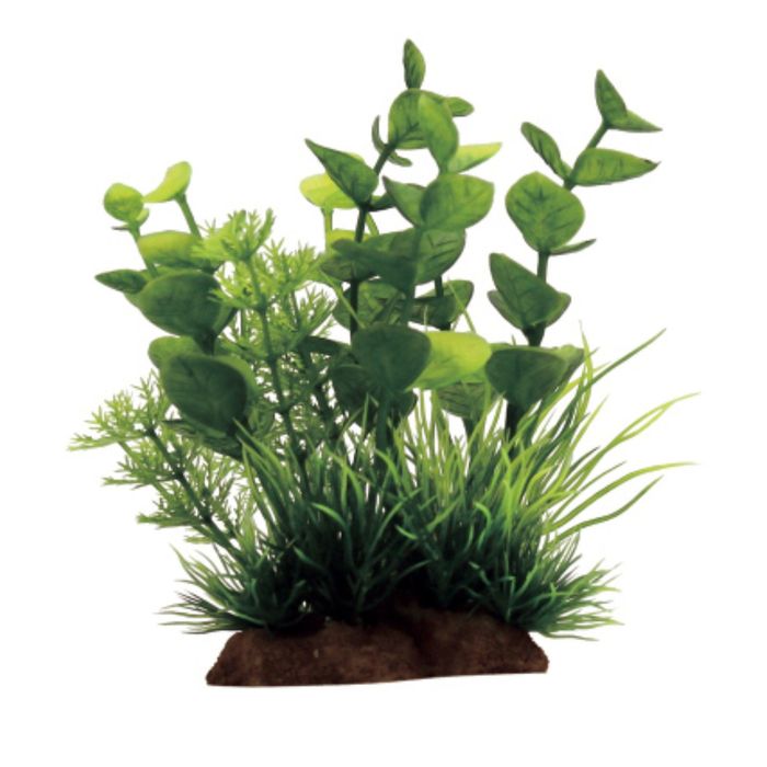 Комп. из искусств. растений ArtUniq Bacopa mix 12 - Бакопа в миксе растений, 10x5x12 см