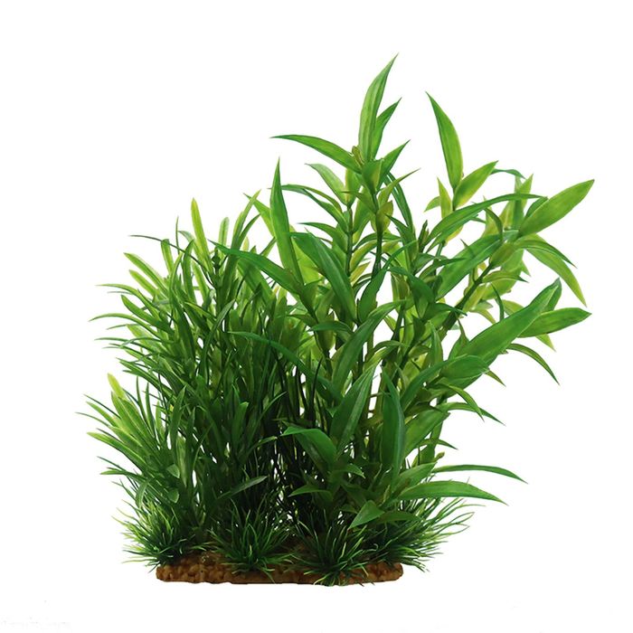 Композиция из искусств. растений "Гигрофила сиамская", 15 см