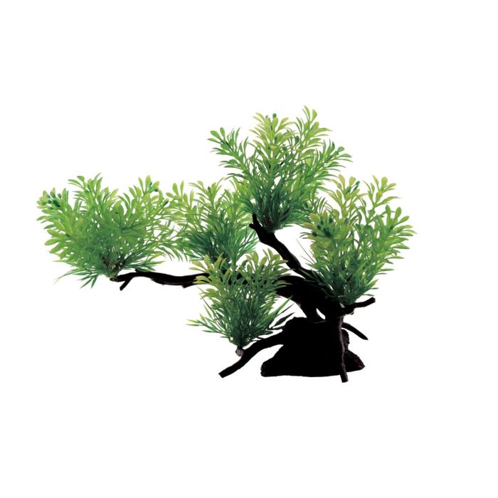 Композиция из искусств. растений на бонсае "Ротала зеленая", 28x12x21 см