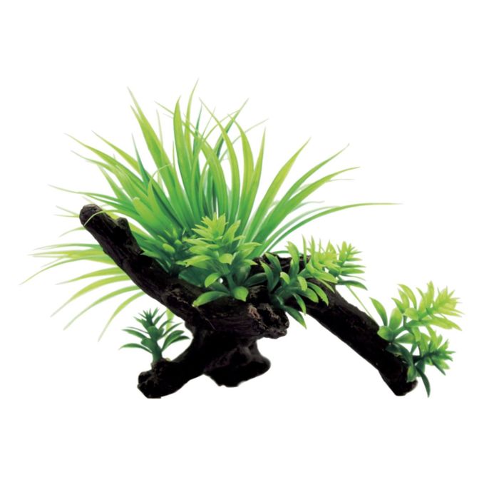 Композиция из искусств. растений на коряге "Саггитария", 15x12x11 см