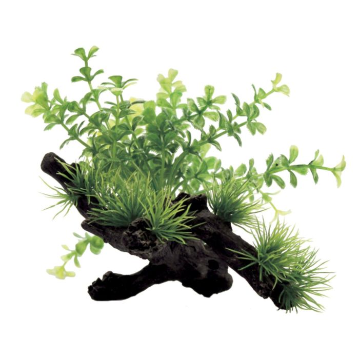 Композиция из искусств. растений на коряге "Микрантемум", 15x12x12 см