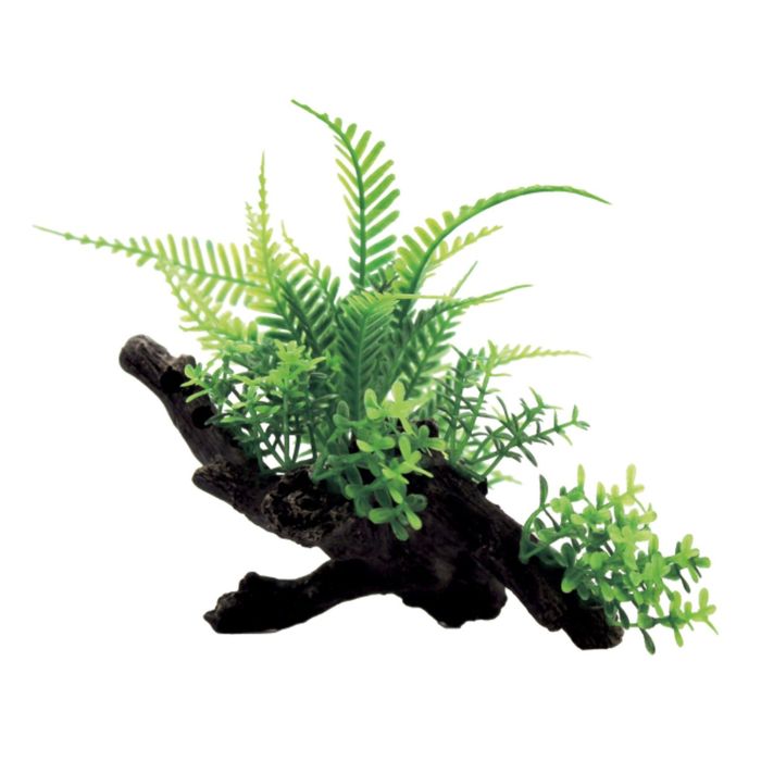 Композиция из искусств. растений на коряге "Папоротник", 20x12x12 см