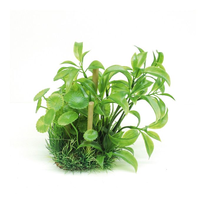 Композиция из искусств. растений с бабуком "Альтернантера бетзикиана", 20 см