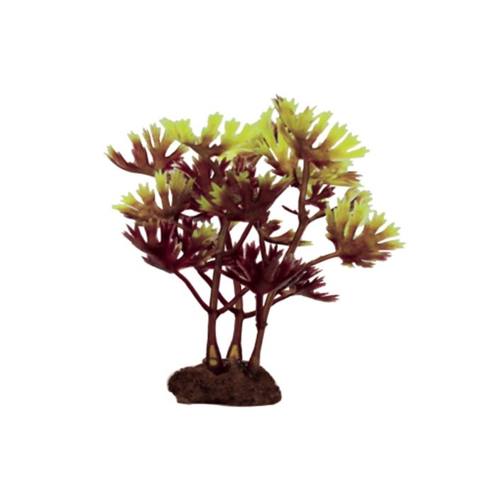 Набор искусств. растений "Лютик водный красно-зеленый", 10 см, 6 шт