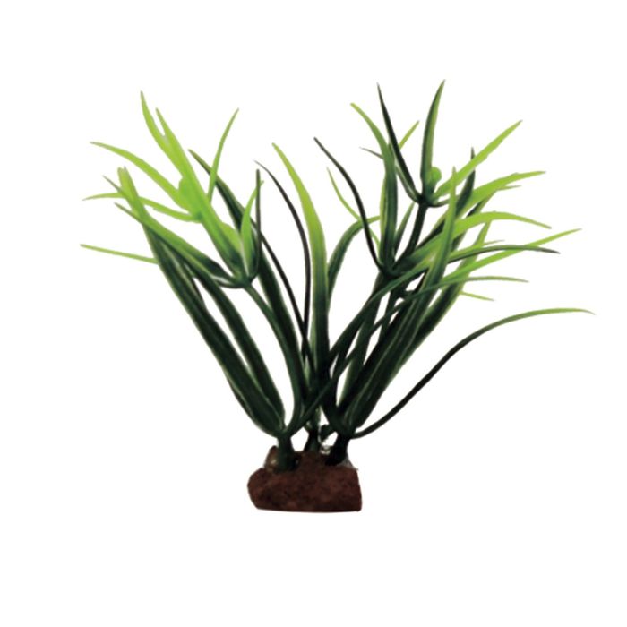 Набор искусств. растений "Лагаросифон мадагаскарский", 10 см, 6 шт