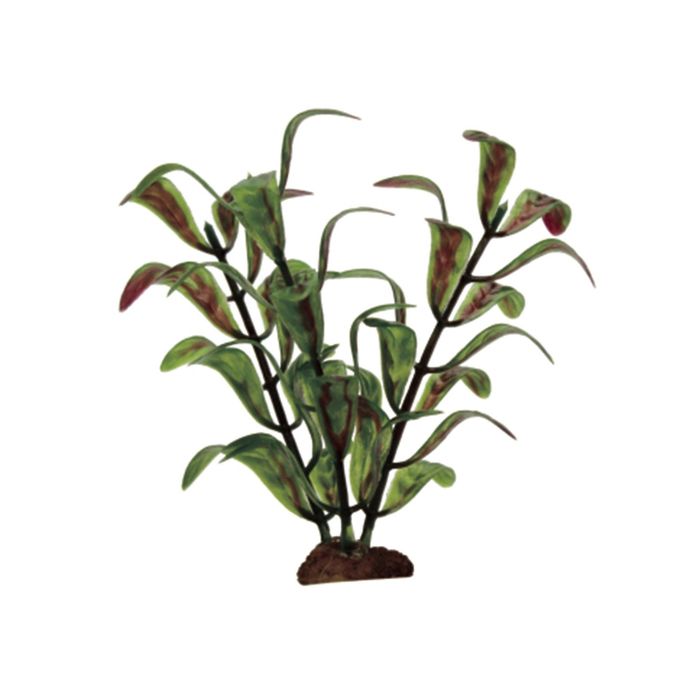 Набор искусств. раст. ArtUniq Hygrophila polysperma Set 6x10 - Гигрофила индийская, 10 см, 6 шт   21