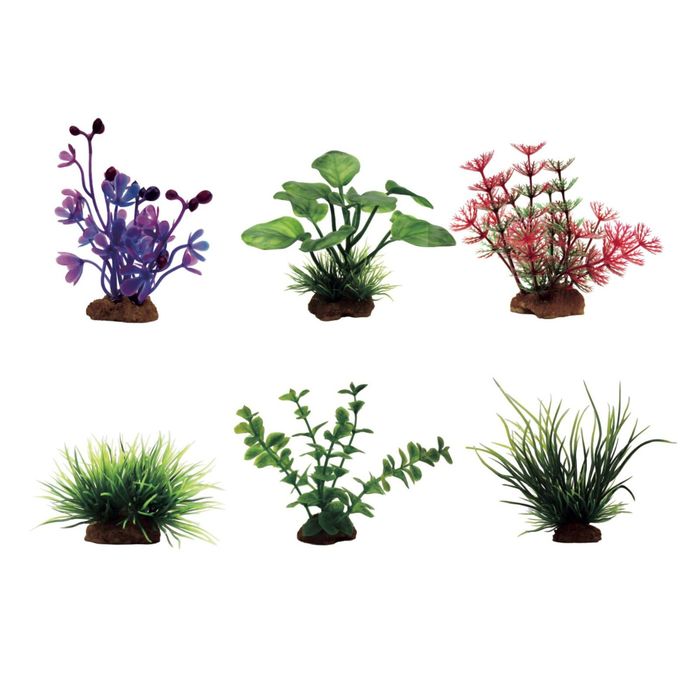 Набор искус.раст."Марсилия, Анубиас, Амбулия, Лилеопсис, Лизимахия, Ситняг", 7-10см, 6шт