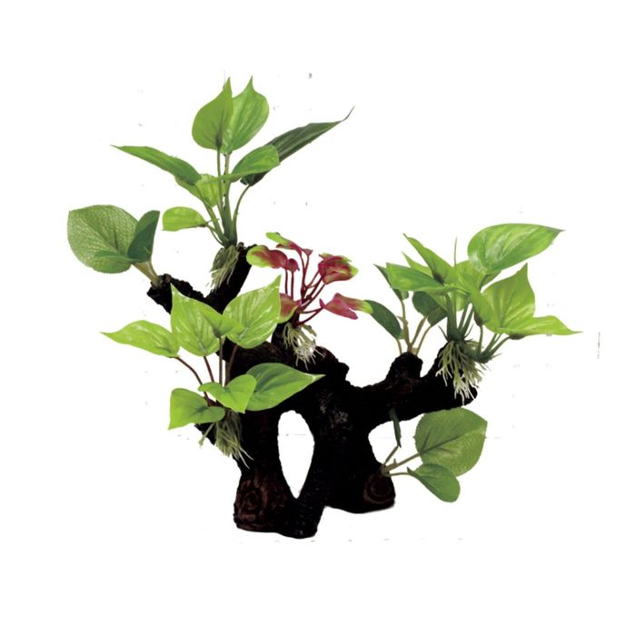 Декоративная композиция Мангровая коряга с анубиасом" M2, 32x18x40см