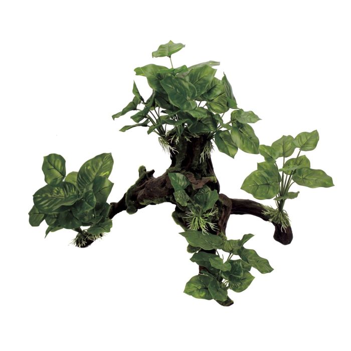 Декоративная композиция "Мангровая коряга с анубиасом" L2, 43x25,2x39,5 см