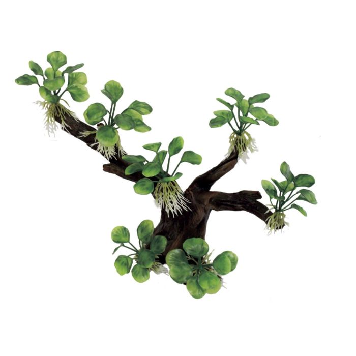 Декоративная композиция "Ветвистая коряга с анубиасом нана" M1, 30x15x26 см