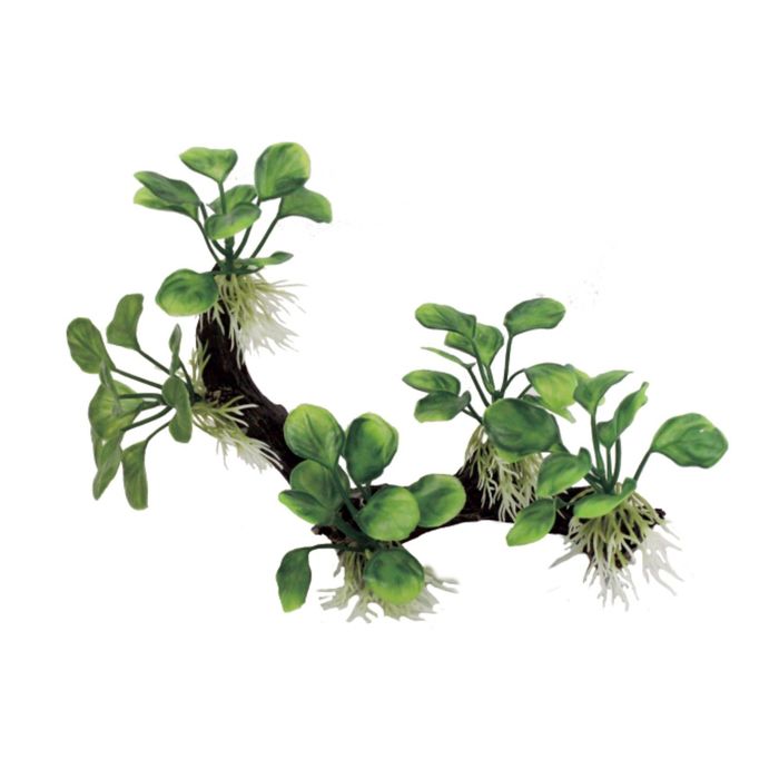 Декоративная композиция "Ветвистая коряга с анубиасом нана" M3, 22x10x18 см