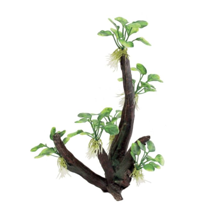Декоративная композиция "Высокая ветвистая коряга с анубиасом нана" M, 19x13,5x32 см