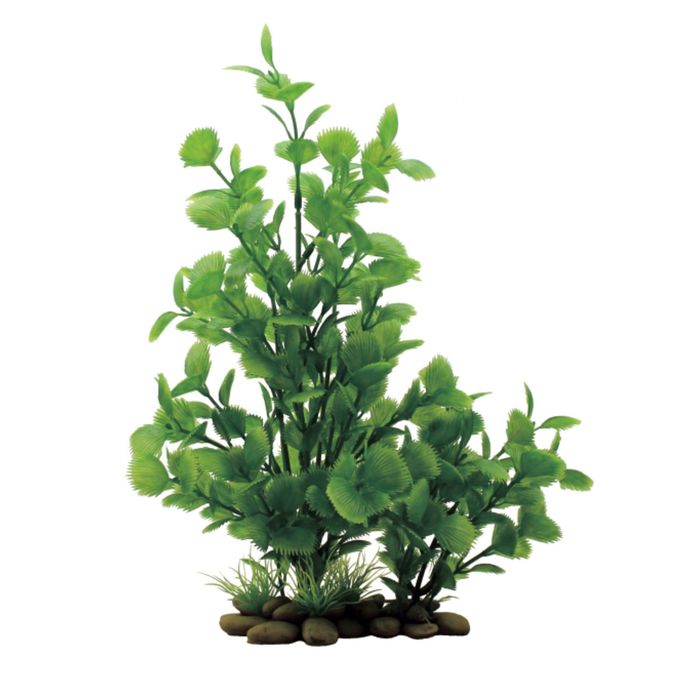 Искусственное растение ArtUniq Livistona 30 - Ливистона , 30 см