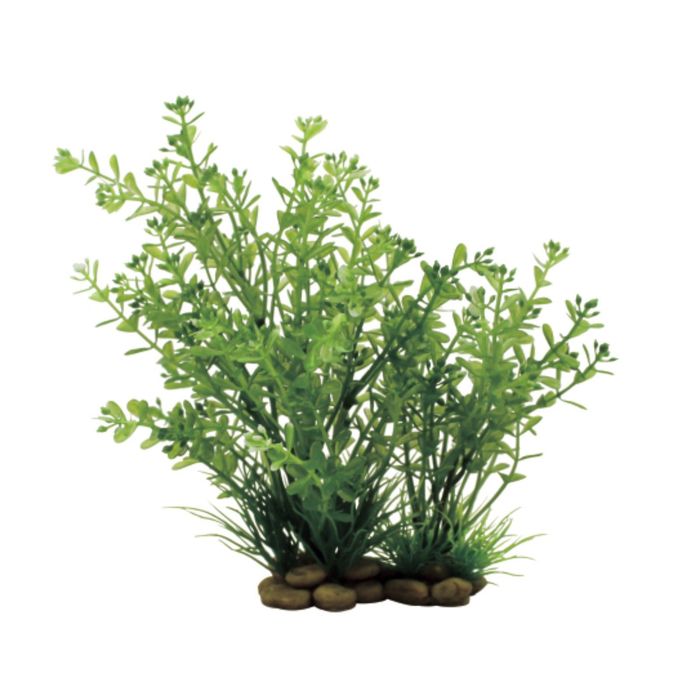 Искусственное растение ArtUniq Rotala 20 - Ротала, 20 см