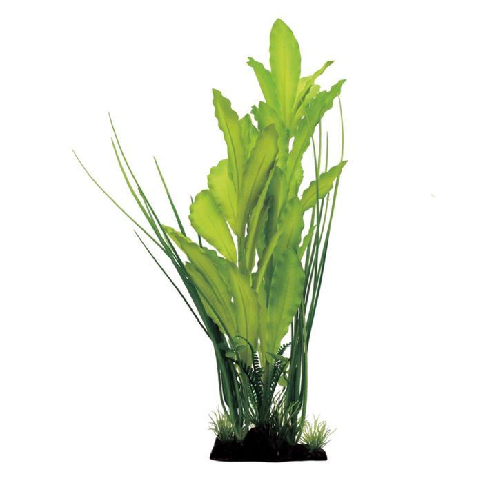 Искусственное растение из  шелка ArtUniq Echinodorus Green 40 - Эхинодорус зеленый, 40 см