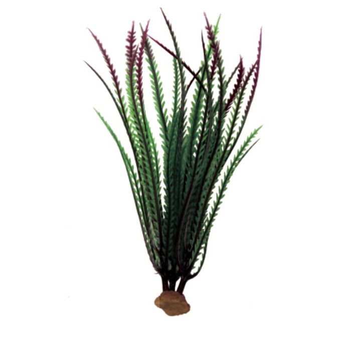 Композиция из искусств. растений "Гигрофила перистонадрезанная красно-зеленая", 6x6x23 см