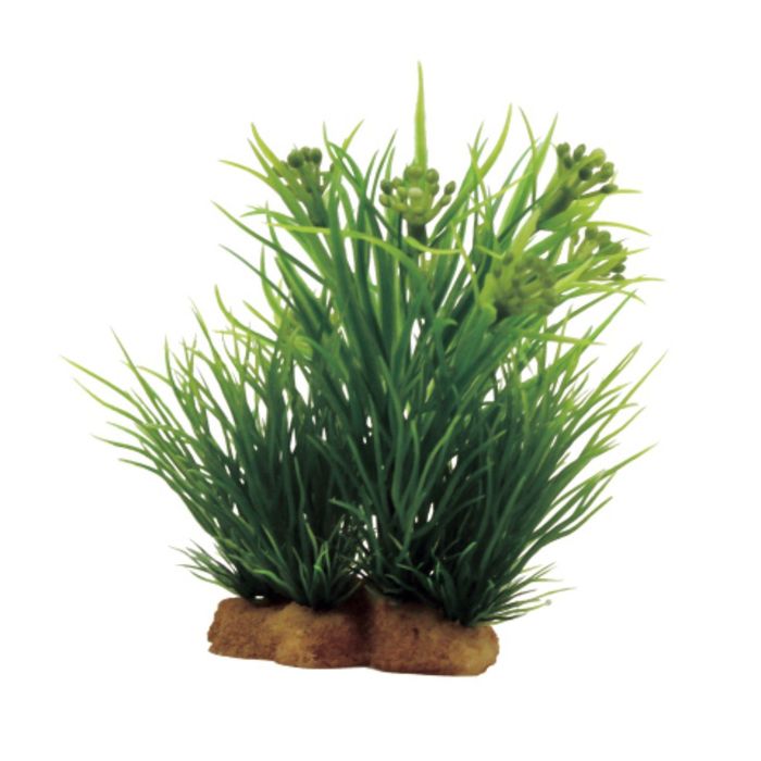 Композиция из искусств. растений "Саггитария цветущая", 10x5x12 см