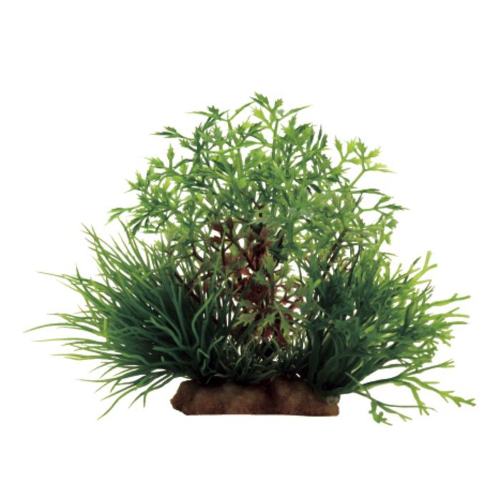 Композиция из искусств. растений "Перистолистник", 16x12x10 см