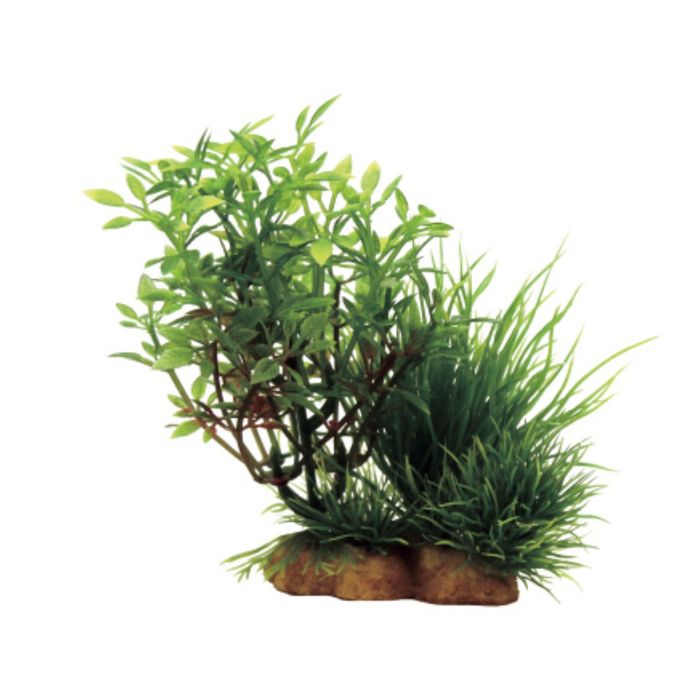 Комп. из искусств. растений ArtUniq Micranthemum mix 12 - Микрантемум в миксе растений, 12x5x12 см