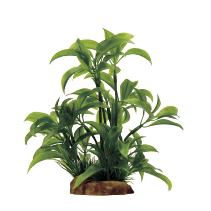 Композиция из искусств. растений "Альтернантера бетзикиана", 8x7x14 см