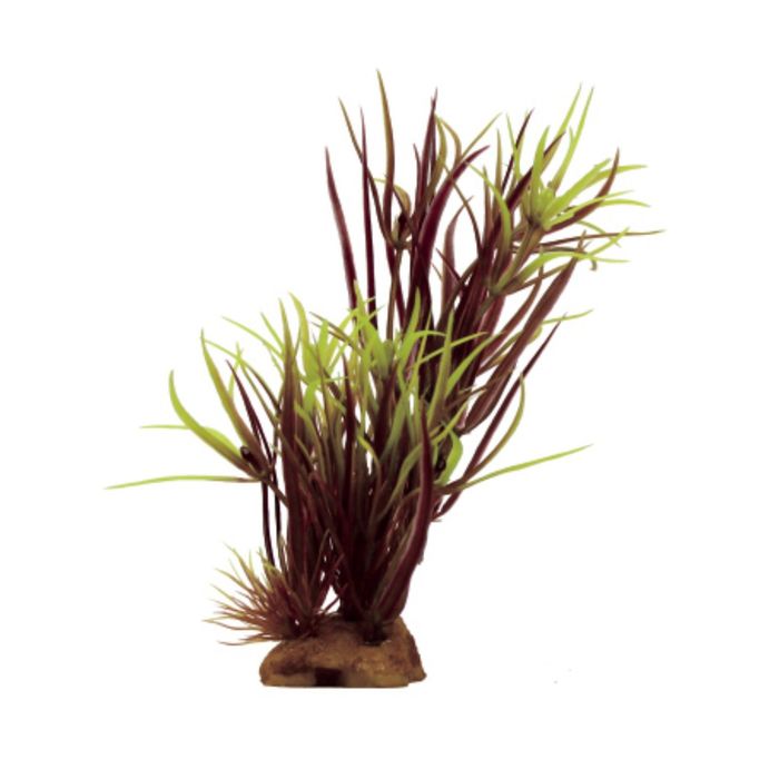 Композиция из искусств. растений "Лагаросифон мадагаскарский красный", 8x7x14 см