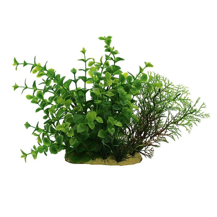 Комп. из искусств. растений ArtUniq Ludwigia green mix 15 - Людвигия зеленая в миксе растений, 15 см