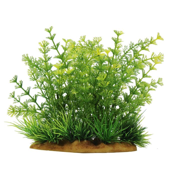 Комп. из искусств. растений ArtUniq Limnophila sessiliflora 15 - Лимнофила сидячецветковая, 15 см