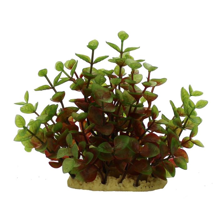 Комп. из искусств. растений ArtUniq Ludwigia red-green 15 - Людвигия красно-зеленая, 15 см