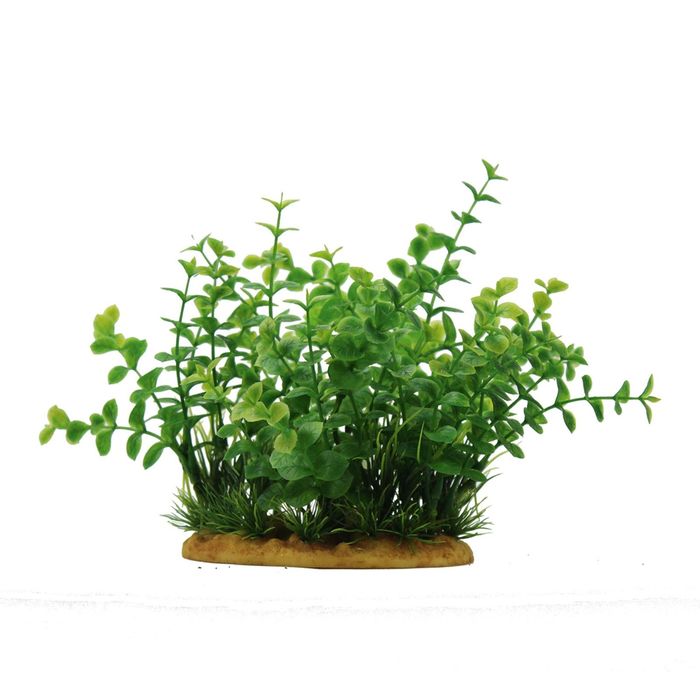 Комп. из искусств. растений ArtUniq Bacopa 15 - Бакопа, 15 см