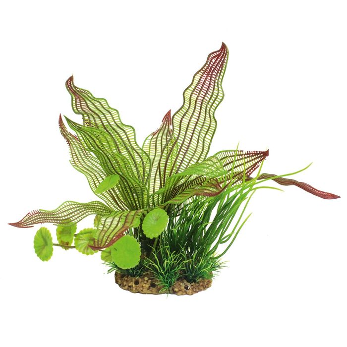 Композиция из искусств. растений "Апоногетон мадагаскарский", 20 см