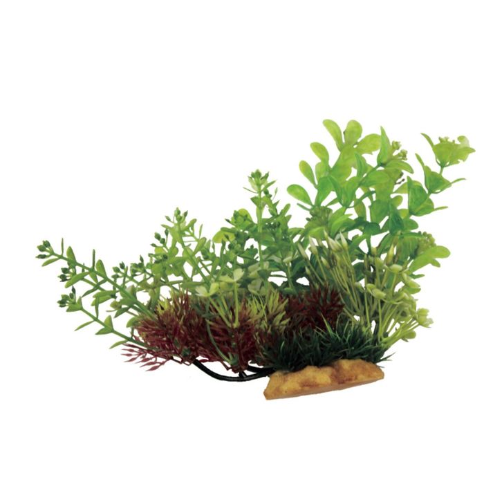 Композиция из искусств. растений на ветке "Людвигия и Ротала", 20x10x15 см