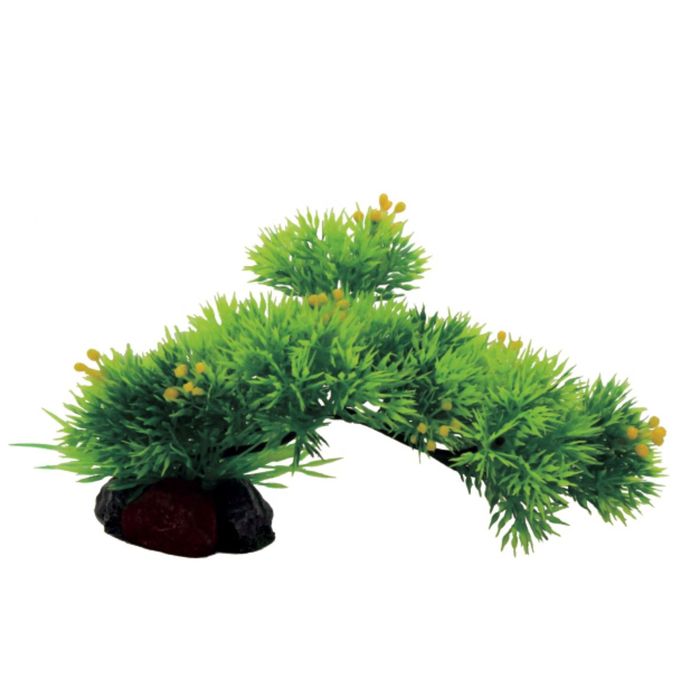 Композиция из искусств. растений на ветке "Риччия", 20x10x15 см