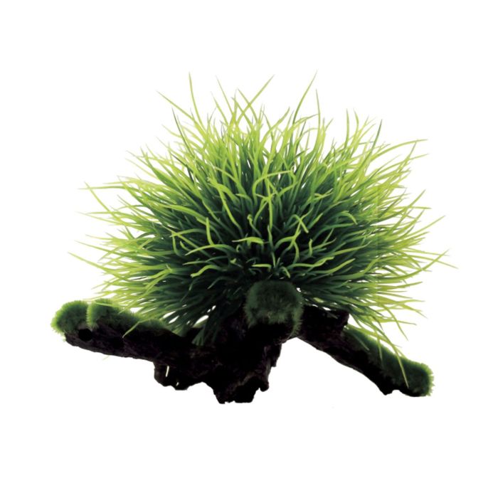 Композиция из искусств. растений на коряге "Пузырчатка", 15x12x12 см