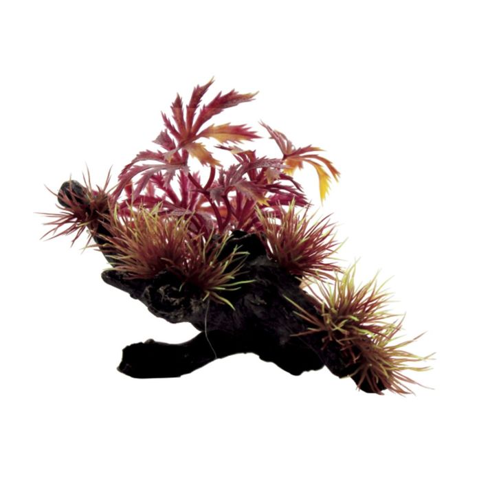 Композиция из искусств. растений на коряге "Абутилон красный", 20x14x10 см