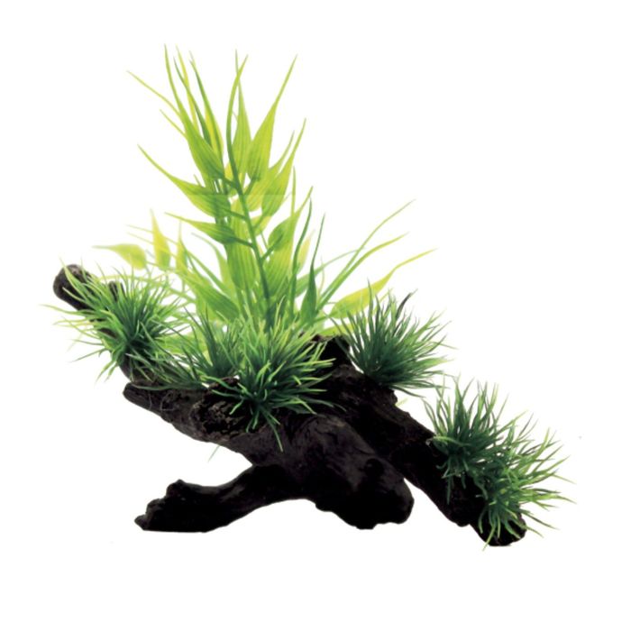 Композиция из искусств. растений на коряге "Бамбук", 15x12x12 см