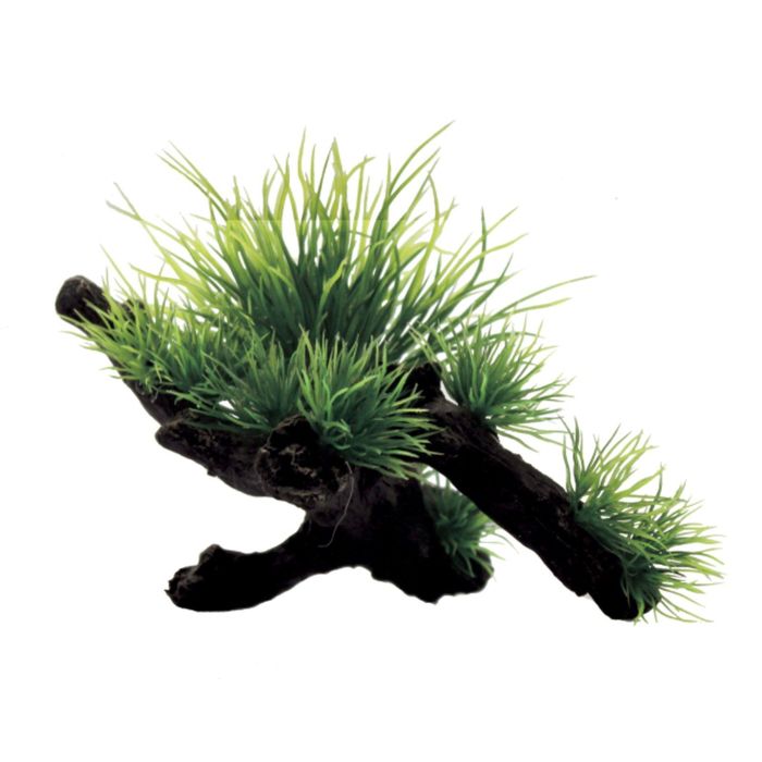 Композиция из искусств. растений на коряге "Ситняг", 15x10x11 см