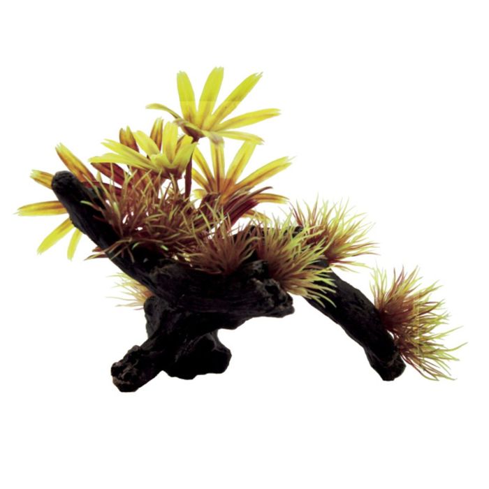 Композиция из искусств. растений на коряге "Бамбуза", 20x14x10 см