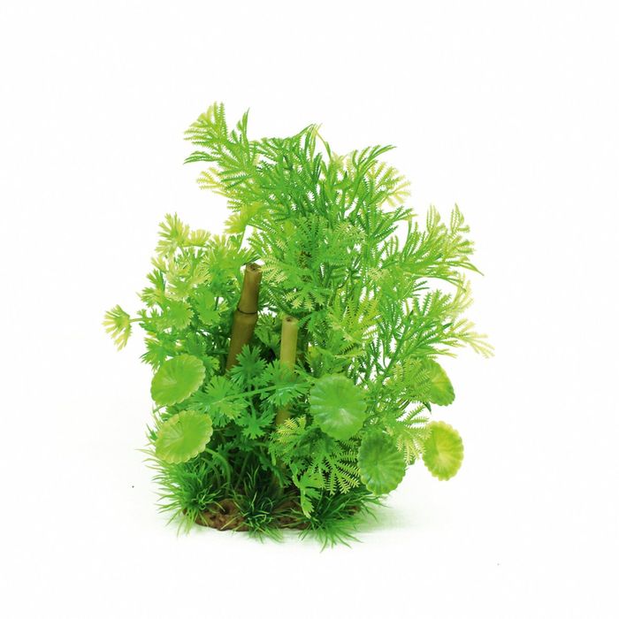 Композиция из искусств. растений с бабуком "Хоттония", 20 см