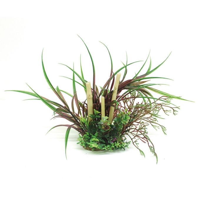 Композиция из искусств. растений с бабуком "Лагаросифон мадагаскарский красный", 20 см