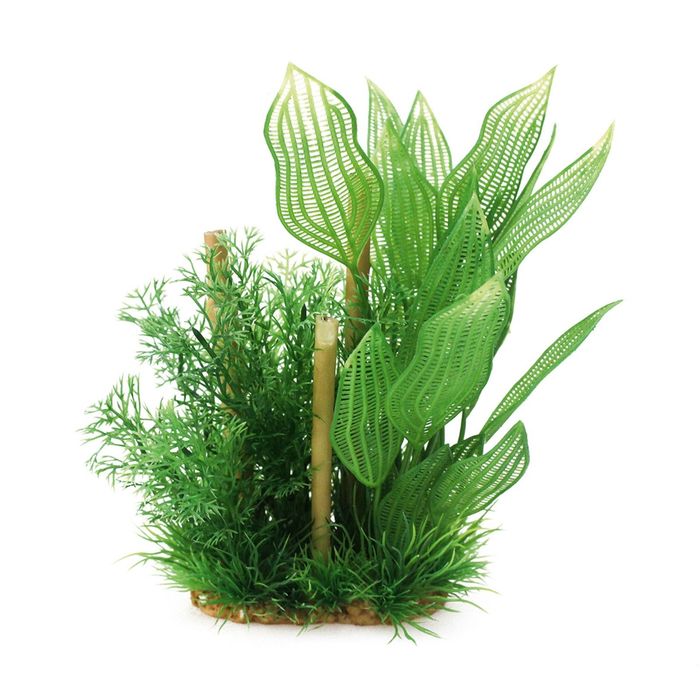 Композиция из искусств. растений с бабуком "Апоногетон", 20 см