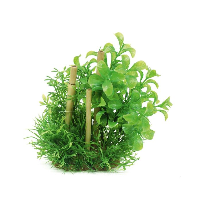 Композиция из искусств. растений с бабуком "Людвигия зеленая", 20 см