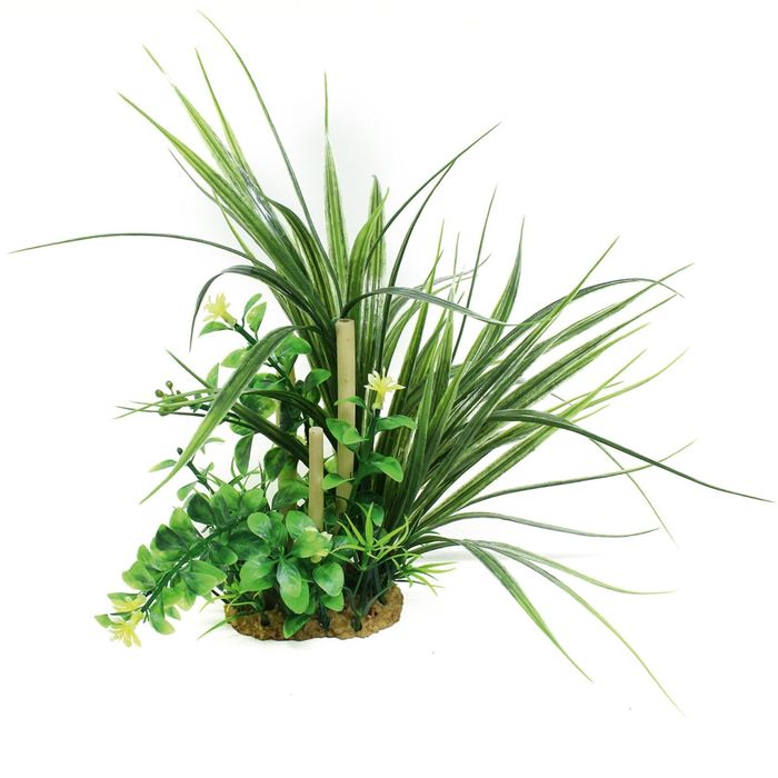 Композиция из искусств. растений с бабуком "Офиопогон", 20 см