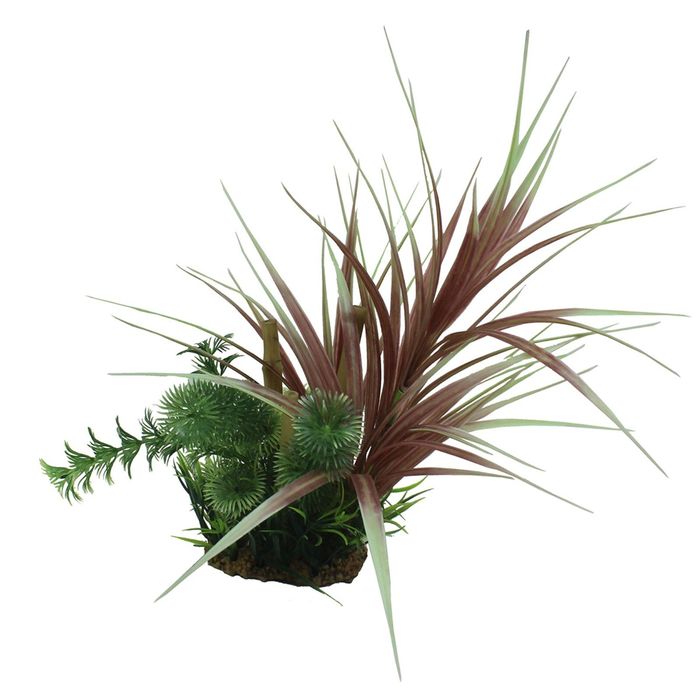 Композиция из искусств. растений с бабуком "Офиопогон красный", 20 см