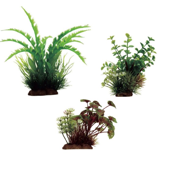 Набор искусств. растений "Дизиготека, Бакопа, Щитолистник красно-зеленый", 10-20 см, 3 шт