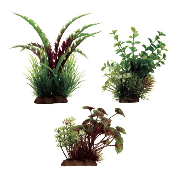 Набор искусств. Раст."Дизиготека красно-зел., Бакопа, Щитолистник красно-зел.", 10-20 см, 3 шт 21484