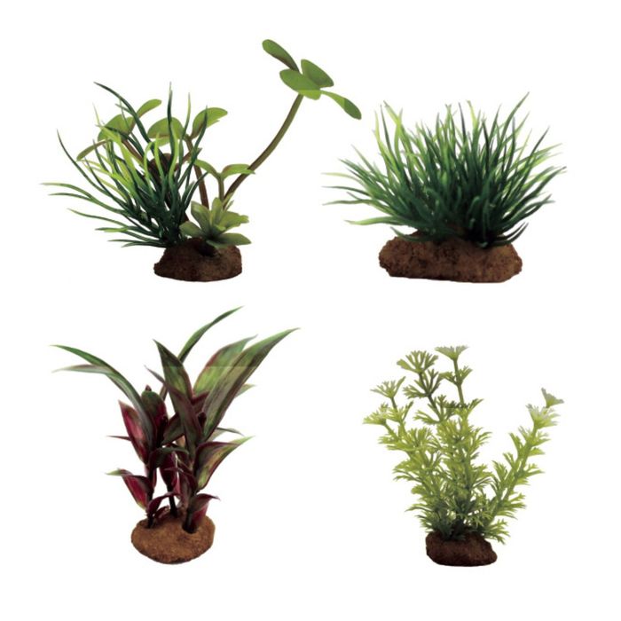 Набор искусств. растений "Марсилия, Лилеопсис, Альтернантера, Амбулия", 7-10 см, 4 шт