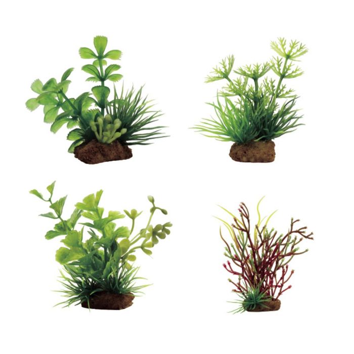 Набор искусств. растений "Прозерпинака, Амбулия, Кариота, Блестянка", 7-10 см, 4 шт