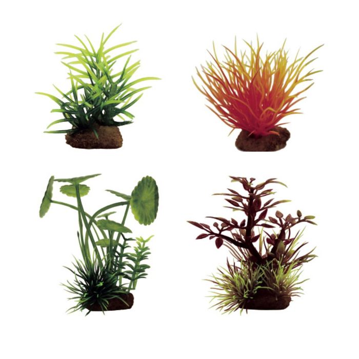 Набор искусств.растений "Погостеон, Лилеопсис, Щитолистник, Микрантемум", 7-10см, 4шт